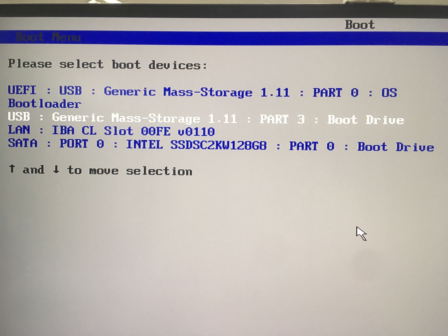 _images/boot.jpg